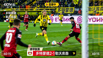 德甲联赛多特蒙德对阵勒沃库森比赛直播画面